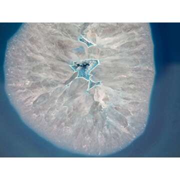 Rock Paradise Multi Colored Geode on Metal Stand Agate Slice Druzy - Metal Stand - Crystal Healing - Home Decor Exclusive COA (Teal)