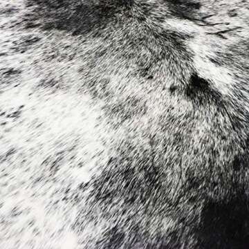 rodeo Salt and Pepper Cowhide Rug Brazilian Cow Skin Rug Brown/Tricolor/Black Cow hides Size XXL Approx 7x8 ft (213cmx243cm) cowhides Premium Quality (Black and White)
