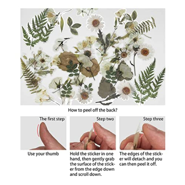 ZMLSED Vintage Flower Stickers Pack of 40 for Crafting