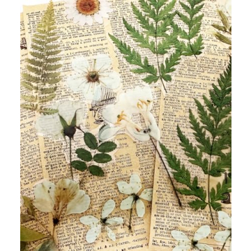 ZMLSED Vintage Flower Stickers Pack of 40 for Crafting