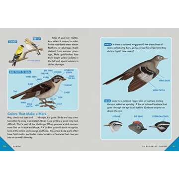 Outdoor School: Animal Watching: The Definitive Interactive Nature Guide