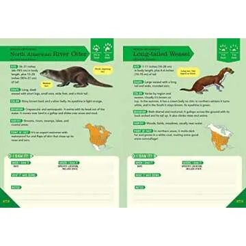 Outdoor School: Animal Watching: The Definitive Interactive Nature Guide