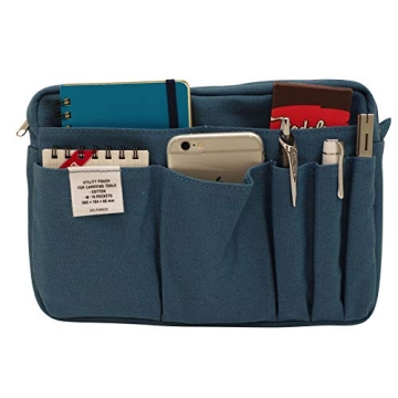 Stylish Delfonics Inner Carrying Case in Blue