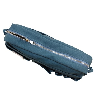 Stylish Delfonics Inner Carrying Case in Blue
