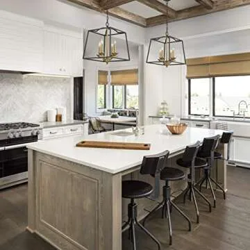 Emliviar 4 Light Foyer Chandelier, Lantern Pendant Light Cage Hanging Light for Entryway Dining Room, Black and Gold Finish, 2086P-4 BG