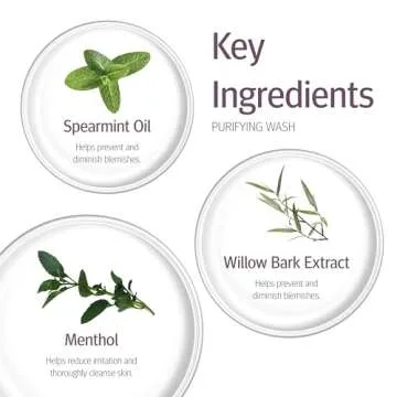 Epionce Purifying Wash - Facial & Body Cleanser for Oily & Problem Skin with Salicylic Acid, Menthol, Spearmint & Willow Bark, Dermatologist Skincare