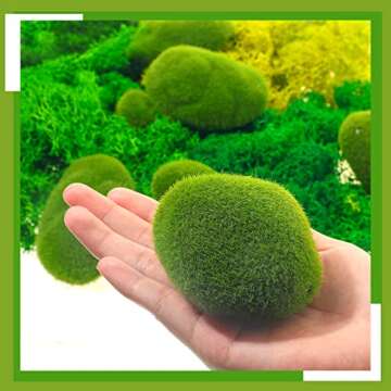12 Pcs Artificial Moss Rock and 200 Gram Preserved Green Moss, Decorative Faux Green Stones Assorted Size Fake Moss Balls 5 Colors Floral Moss for Diary Garden DIY Craft Terrariums Potted Plants
