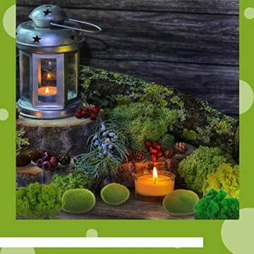 12 Pcs Artificial Moss Rock and 200 Gram Preserved Green Moss, Decorative Faux Green Stones Assorted Size Fake Moss Balls 5 Colors Floral Moss for Diary Garden DIY Craft Terrariums Potted Plants