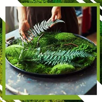 12 Pcs Artificial Moss Rock and 200 Gram Preserved Green Moss, Decorative Faux Green Stones Assorted Size Fake Moss Balls 5 Colors Floral Moss for Diary Garden DIY Craft Terrariums Potted Plants