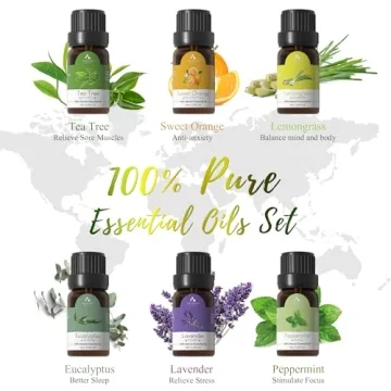 ASAKUKI 500ml Diffuser with Essential Oil Gift Set