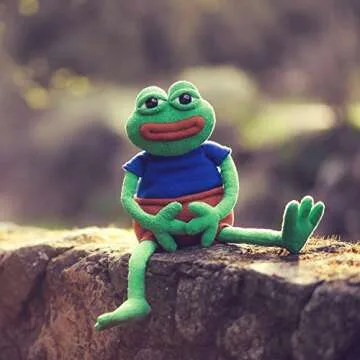 Hashtag Collectibles Pepe The Frog - The Official Plush Doll (Anatomically Correct)