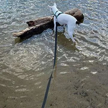 Waterproof Dog Training Leash Great for Outdoor Adventures