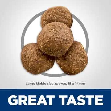 Hill's Science Diet 6+ Large Breed Chicken Rice Dog Food