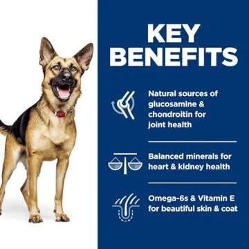 Hill's Science Diet 6+ Large Breed Chicken Rice Dog Food