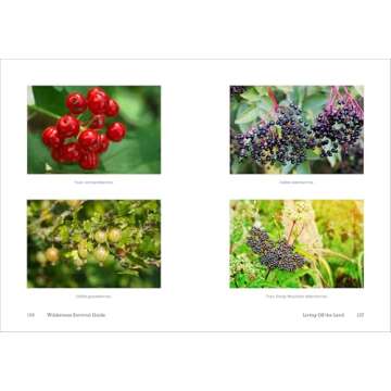 Survival Guide for Outdoor Adventurers - Essential Skills