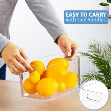 STORi Bliss Clear Pantry Organizer Bin for Home Storage