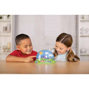 Insect Lore Ladybug Land | Ladybug Growing Kit Habitat | Redeem Voucher For Live Ladybug Larvae