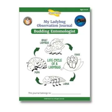 Insect Lore Ladybug Land | Fun Ladybug Growing Kit