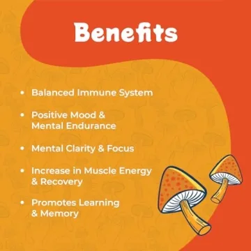 Melting Forest Mushroom Energy Drink - Natural Energy & Focus