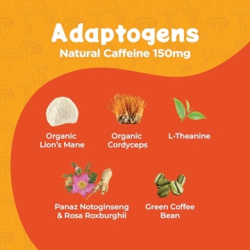 Melting Forest Mushroom Energy Drink - Natural Energy & Focus