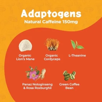 Melting Forest Mushroom Energy Drink - Natural Energy & Focus