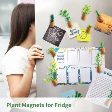 JUSTDOLIFE Plant Refrigerator Magnets Cute Succulent Decor