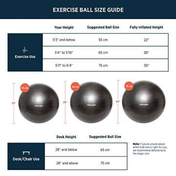 Retrospec Luna Exercise Ball & Pump - Anti-Burst Stability