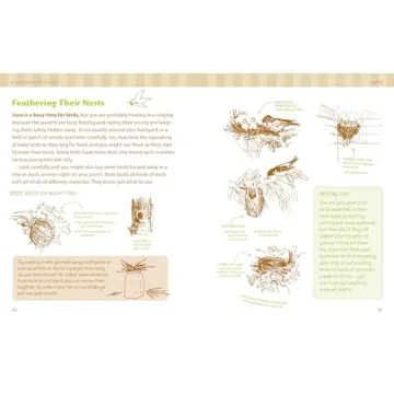 The Nature Connection Outdoor Workbook for Kids and Families