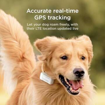 Petcube GPS Tracker for Dogs | Pet GPS Location Tracker with Escape Alerts and Virtual Fences, Activ...