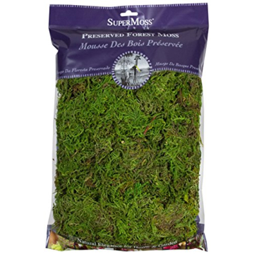 SuperMoss Forest Preserved Moss for Gardens and Crafts