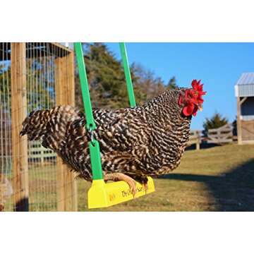 Fowl Play Chicken Swing - Ultimate Chicken Toy for Coops