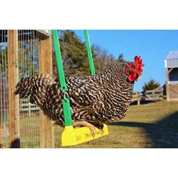 Fowl Play Chicken Swing - Ultimate Chicken Toy for Coops