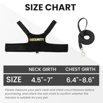 Bearded Dragon Harness and Leash Set for Outdoor Fun