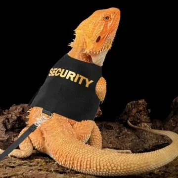 Bearded Dragon Harness and Leash Set for Outdoor Fun