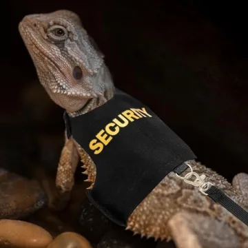 Bearded Dragon Harness and Leash Set for Outdoor Fun