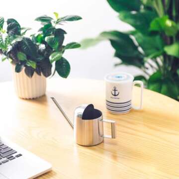 IMEEA Tiny Watering Can for Indoor Plants Bonsai Tree Stainless Steel Small Watering Can Succulents,...