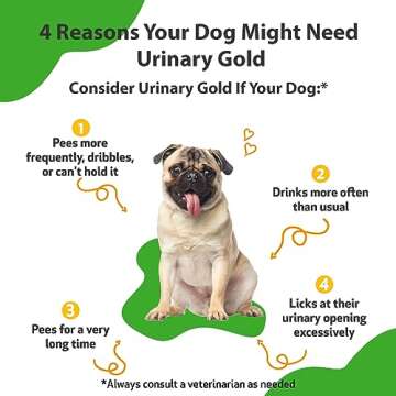 Pet Wellbeing Urinary Gold - Herbal Support for Dogs