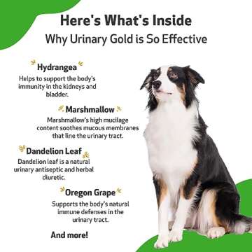 Pet Wellbeing Urinary Gold - Herbal Support for Dogs