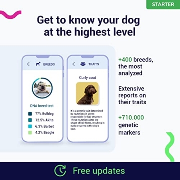 Amazing Koko Genetics Dog DNA Test for Breed Insights