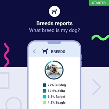 Amazing Koko Genetics Dog DNA Test for Breed Insights
