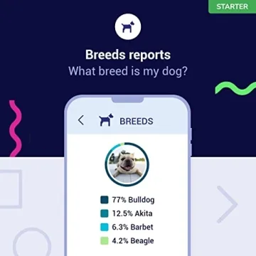 Amazing Koko Genetics Dog DNA Test for Breed Insights