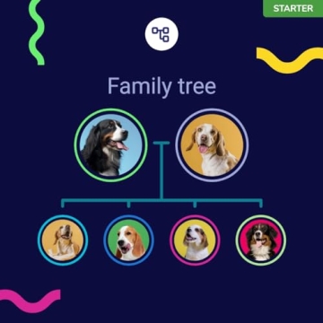Amazing Koko Genetics Dog DNA Test for Breed Insights