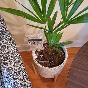 QIWYGPYQ 2 PCS Plant Self Watering Devices Irrigation Drippers, Self Automatic Plant Watering System with 350 ml Water Bag, for Indoor Outdoor Automatic Flower Watering Device