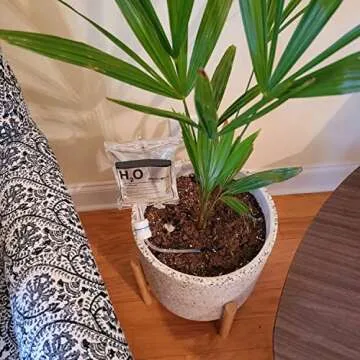 QIWYGPYQ 2 PCS Plant Self Watering Devices Irrigation Drippers, Self Automatic Plant Watering System with 350 ml Water Bag, for Indoor Outdoor Automatic Flower Watering Device