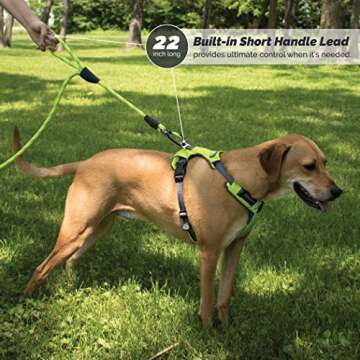 Rope Dog Leash with Double Traffic Handles for Control