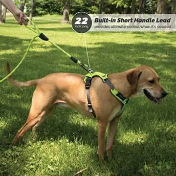 Rope Dog Leash with Double Traffic Handles for Control