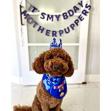 Odi Style Dog Birthday Party Supplies - Dog Birthday Bandana Set - Birthday Boy Bandana for Small Dogs, Puppy, Party Hat, Crown and Cute Dog Birthday Banner with It's My Birthday Mother Puppers Sign