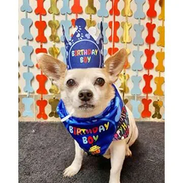 Odi Style Dog Birthday Party Supplies - Dog Birthday Bandana Set - Birthday Boy Bandana for Small Dogs, Puppy, Party Hat, Crown and Cute Dog Birthday Banner with It's My Birthday Mother Puppers Sign