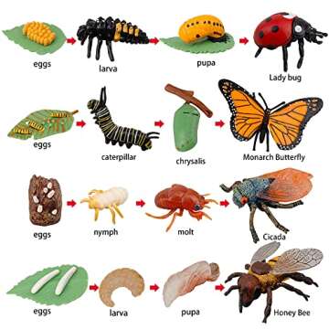 TOYMANY 16PCS Insect Figurines Life Cycle of Monarch Butterfly,Honey Bee,Cicada,Ladybug, Plastic Cat...