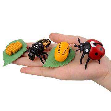 TOYMANY 16PCS Insect Figurines Life Cycle of Monarch Butterfly,Honey Bee,Cicada,Ladybug, Plastic Caterpillars to Butterflies Bug Figures Toy Kit Educational School Project for Kids Toddlers